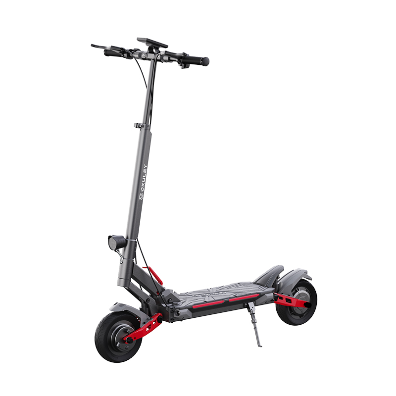 Monopattini elettrici per mobilità per adulti OKULEY R8 Lite